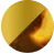 C1