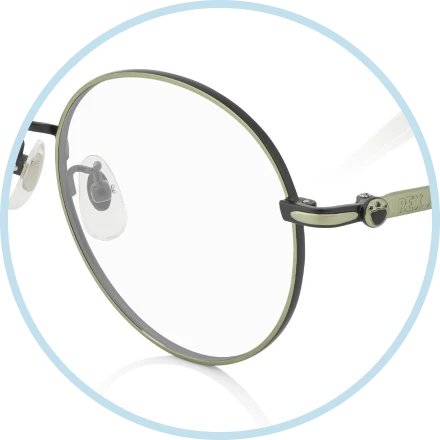 Frame front designed in the shape of a dinosaur claw, with tiny footprint motifs on the temples