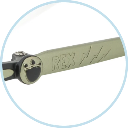 Green metal temples feature “Rex” engraved on the left and “roar” on the right