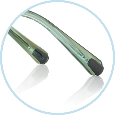 Temple tips shaped like Rex’s feet